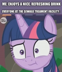 Size: 500x585 | Tagged: safe, edit, edited screencap, screencap, twilight sparkle, alicorn, pony, g4, the point of no return, :t, cropped, female, looking at you, meme, solo, twilight sparkle (alicorn), unsettled tom