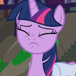 Size: 1078x1077 | Tagged: safe, screencap, twilight sparkle, alicorn, pony, the point of no return, cropped, eyes closed, female, frustrated, mare, reaction image, saddle bag, solo, twilight sparkle (alicorn)