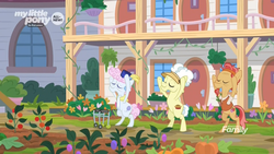 Size: 1920x1080 | Tagged: safe, screencap, cactus fruit, lemon pie (g4), pearly stitch, earth pony, pony, g4, the point of no return, background pony, bipedal, discovery family logo, elderly, eyes closed, female, flower, food, garden, male, mare, potted plant, pumpkin, silver stable community, somnambula resident, stallion, tennis ball, tomato, trio, vine, walker, yoga