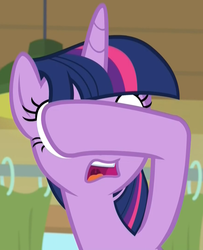 Size: 878x1080 | Tagged: safe, screencap, twilight sparkle, alicorn, pony, the point of no return, covering eyes, cropped, facepalm, female, gasp, mare, open mouth, reaction image, shocked, solo, twilight sparkle (alicorn), uvula