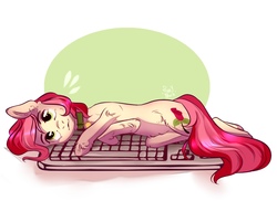 Size: 2101x1529 | Tagged: safe, artist:purry_much, roseluck, earth pony, pony, g4, behaving like a cat, collar, commissioner:doom9454, cute, ear fluff, female, fluffy, keyboard, leg fluff, lying, mare, pet tag, pony pet, rosabetes, rosepet, solo