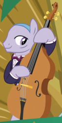 Size: 310x610 | Tagged: safe, screencap, earth pony, pony, dungeons and discords, g4, background pony, cropped, double bass, male, musical instrument, playing instrument, solo, stallion, unnamed character, unnamed pony
