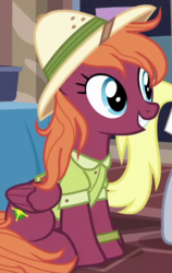 Size: 413x653 | Tagged: safe, screencap, derpy hooves, sweet pepper, pegasus, pony, g4, stranger than fan fiction, background pony, clothes, cropped, female, hat, mare, pith helmet, shirt, sitting, smiling, solo focus