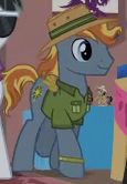 Size: 115x166 | Tagged: safe, screencap, earth pony, pony, g4, stranger than fan fiction, background pony, clothes, cropped, fake wings, hat, male, shirt, solo, stallion, unnamed character, unnamed pony