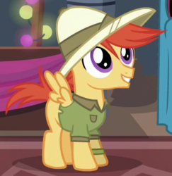 Size: 335x345 | Tagged: safe, screencap, pegasus, pony, g4, stranger than fan fiction, background pony, clothes, colt, cropped, foal, hat, male, pith helmet, shirt, solo, unnamed character, unnamed pony