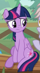 Size: 276x505 | Tagged: safe, screencap, dusty pages, twilight sparkle, alicorn, pony, the point of no return, sitting, twilight sparkle (alicorn)