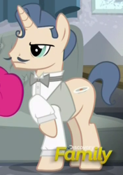 Size: 374x530 | Tagged: safe, screencap, pony, unicorn, g4, spice up your life, background pony, bowtie, clothes, cropped, discovery family logo, facial hair, male, moustache, raised hoof, shirt, solo focus, stallion, unnamed character, unnamed pony, waiter