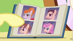 Size: 1280x720 | Tagged: safe, screencap, business savvy, fluttershy, joan pommelway, pegasus olsen, peggy holstein, pony, flutter brutter, g4, book, female, hooves, male, mare, open book, picture book, stallion, unnamed character, unnamed pony
