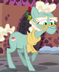 Size: 691x849 | Tagged: safe, screencap, figgy pudding (g4), earth pony, pony, a hearth's warming tail, g4, background pony, clothes, cropped, elderly, glasses, male, pince-nez, scarf, solo, stallion