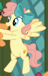 Size: 237x370 | Tagged: safe, screencap, jolly fir, merry cotton, pegasus, pony, a hearth's warming tail, g4, background pony, bow, cropped, female, flying, hair bow, mare, solo focus