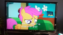 Size: 1280x720 | Tagged: safe, screencap, scootaloo, pony, flight to the finish, g4, female, netflix, picture of a screen, sharp, sharp aquos, solo, subtitle, television, text