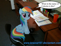 Size: 900x675 | Tagged: safe, artist:krazoa157, rainbow dash, pony, g4, comic, deviantart watermark, irl, obtrusive watermark, pen, photo, ponies in real life, solo, table, watermark, wings