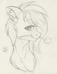 Size: 2014x2600 | Tagged: safe, artist:airfly-pony, oc, oc only, pony, rcf community, bust, flower, flower in mouth, high res, lineart, looking at you, male, rose, rose in mouth, rule 63, solo