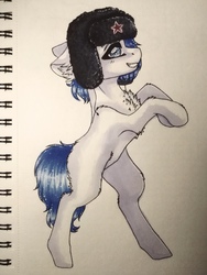 Size: 3120x4160 | Tagged: safe, artist:uglypartyhat, oc, oc only, earth pony, pony, bipedal, chest fluff, hat, photo, solo, traditional art, ushanka
