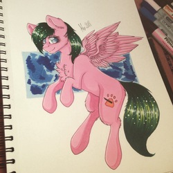 Size: 2448x2448 | Tagged: safe, artist:uglypartyhat, oc, oc only, pegasus, pony, high res, photo, traditional art