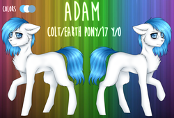 Size: 2200x1500 | Tagged: safe, artist:uglypartyhat, oc, oc only, oc:adam, earth pony, pony, reference sheet