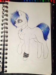 Size: 1024x1366 | Tagged: safe, artist:uglypartyhat, oc, oc only, oc:adam, earth pony, pony, armband, jewelry, pendant, photo, traditional art