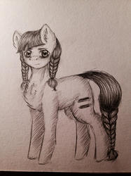 Size: 1024x1366 | Tagged: safe, artist:uglypartyhat, oc, oc only, earth pony, pony, braid, equality, equalized, photo, traditional art