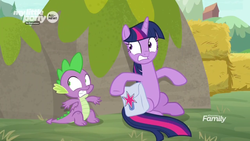 Size: 1366x768 | Tagged: safe, screencap, spike, twilight sparkle, alicorn, dragon, pony, g4, the point of no return, discovery family logo, hay bale, hiding, saddle bag, taking cover, twilight sparkle (alicorn), winged spike, wings