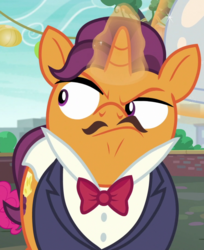 Size: 883x1080 | Tagged: safe, screencap, port wine, pony, unicorn, g4, the gift of the maud pie, bowtie, cropped, facial hair, glowing horn, horn, magic, magic aura, male, moustache, solo focus, stallion, telekinesis, waiter