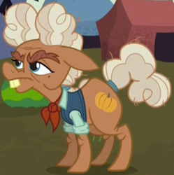 Size: 624x626 | Tagged: safe, screencap, ma hooffield, earth pony, pony, g4, the hooffields and mccolts, ascot, bucktooth, bushy brows, clothes, cropped, elderly, female, food, hooffield family, mare, shirt, solo, vest, watermelon