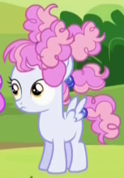 Size: 242x345 | Tagged: safe, screencap, cotton puff, pegasus, pony, brotherhooves social, g4, blank flank, cropped, female, filly, frizzy hair, solo focus