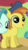 Size: 170x300 | Tagged: safe, screencap, beat cat, bubblegum star, earth pony, pony, g4, made in manehattan, background pony, beret, colt, cropped, foal, hat, male, solo focus