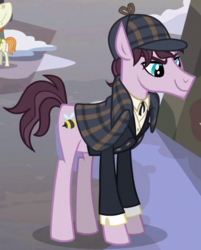Size: 464x576 | Tagged: safe, screencap, natural deduction, earth pony, pony, a hearth's warming tail, g4, cropped, deerstalker, detective, hat, male, sherlock holmes, solo focus, stallion