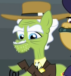 Size: 440x475 | Tagged: safe, screencap, great gauge, harmattan haze, earth pony, pony, appleoosa's most wanted, g4, appleloosa resident, background pony, bolo tie, cowboy hat, cropped, elderly, facial hair, hat, male, moustache, solo focus, stallion, stubble