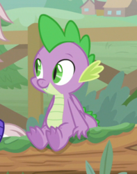 Size: 416x529 | Tagged: safe, screencap, spike, dragon, g4, the point of no return, claws, cropped, cute, fangs, feet, folded wings, log, male, sitting, smiling, soles, solo focus, spread toes, toes, underfoot, winged spike, wings