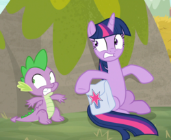 Size: 1168x951 | Tagged: safe, screencap, spike, twilight sparkle, alicorn, dragon, pony, g4, the point of no return, cropped, duo, female, hiding, male, saddle bag, scared, sitting, twilight sparkle (alicorn), wide eyes, winged spike, wings