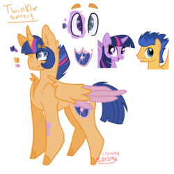 Size: 1000x1000 | Tagged: safe, artist:segafan12, flash sentry, twilight sparkle, oc, oc:twinkle sentry, alicorn, pony, g4, alicorn oc, female, male, offspring, parent:flash sentry, parent:twilight sparkle, parents:flashlight, reference sheet, ship:flashlight, shipping, stallion, straight, teenager, twilight sparkle (alicorn)