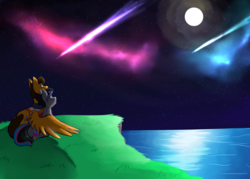 Size: 8100x5800 | Tagged: safe, artist:elliemagic, pony, absurd resolution, aurora borealis, emmet brickowski, full moon, lego, moon, ponified, stars, the lego movie, wyldstyle