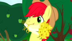 Size: 1600x900 | Tagged: safe, screencap, bright mac, earth pony, pony, g4, the perfect pear, apple tree, bouquet, cowboy hat, flower, hat, tree