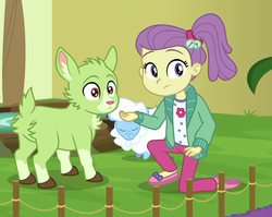 Size: 1037x827 | Tagged: safe, screencap, lily pad (g4), goat, sheep, equestria girls, equestria girls series, g4, spring breakdown, spoiler:eqg series (season 2), amazing technicolor wildlife, butt, cropped, female, fridge horror in the comments, plot, tiny ewes