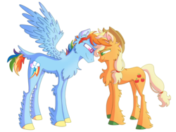 Size: 900x675 | Tagged: safe, artist:lolwise, applejack, rainbow dash, pony, g4, chest fluff, colored ears, colored hooves, female, leg fluff, looking at each other, male, mare, ship:appledash, shipping, simple background, smiling, stallion, transgender, transparent background, unshorn fetlocks, wings