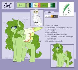 Size: 3000x2700 | Tagged: safe, artist:liefsong, oc, oc only, oc:lief, owl, pegasus, pony, snowy owl, cute, duo, feathered fetlocks, high res, omnivore, reference sheet, tail feathers, unshorn fetlocks