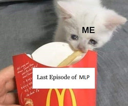 Size: 719x599 | Tagged: source needed, safe, cat, barely pony related, caption, crying, crying cat, cute, end of ponies, exploitable meme, food, french fries, image macro, irl, mcdonald's, meme, photo, sad, text