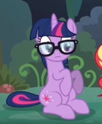 Size: 460x561 | Tagged: safe, screencap, sci-twi, sunset shimmer, twilight sparkle, pony, unicorn, equestria girls, equestria girls series, g4, spring breakdown, spoiler:eqg series (season 2), cropped, equestria girls ponified, female, glasses, offscreen character, ponified, sitting, solo focus, unicorn sci-twi