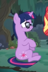Size: 317x471 | Tagged: safe, screencap, sci-twi, sunset shimmer, twilight sparkle, pony, unicorn, equestria girls, equestria girls series, g4, spring breakdown, spoiler:eqg series (season 2), cropped, cute, equestria girls ponified, female, glasses, offscreen character, ponified, sitting, smiling, solo focus, twiabetes, unicorn sci-twi