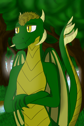 Size: 1280x1920 | Tagged: safe, artist:quarmaid, oc, oc only, dragon, forest, grass, male, river, shadow, solo, sunshine, tree