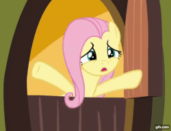 Size: 822x632 | Tagged: safe, screencap, fluttershy, pegasus, pony, g4, season 8, yakity-sax, animated, cropped, cute, door, female, fluttershy's cottage, gif, gifs.com, hooves, implied yovidaphone, loop, no, perfect loop, shyabetes, solo