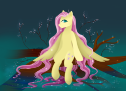 Size: 3200x2300 | Tagged: safe, artist:pabelka-belka, fluttershy, pegasus, pony, g4, cherry blossoms, female, flower, flower blossom, flower in hair, high res, long mane, looking at you, mare, profile, sitting, solo, spread wings, stray strand, tree, tree branch, water, wet mane, wings, wings down