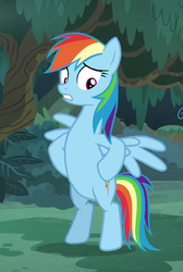 Size: 517x770 | Tagged: safe, screencap, rainbow dash, pegasus, pony, equestria girls, equestria girls series, g4, spring breakdown, spoiler:eqg series (season 2), bipedal, cropped, equestria girls ponified, hooves on hips, human pony dash, ponified, spread wings, wings