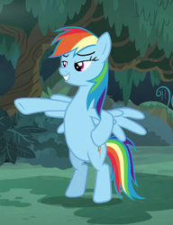Size: 605x789 | Tagged: safe, screencap, rainbow dash, pegasus, pony, equestria girls, equestria girls specials, g4, my little pony equestria girls: better together, my little pony equestria girls: spring breakdown, bipedal, cropped, equestria girls ponified, hooves on hips, human pony dash, lidded eyes, ponified, smiling, spread wings, wings