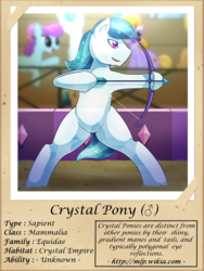 Size: 1000x1333 | Tagged: safe, artist:vavacung, crystal arrow, crystal beau, crystal pony, pony, series:fantastic creatures of equestria, g4, arrow, bipedal, bow, bow (weapon), bow and arrow, frog (hoof), male, photo, underhoof, weapon