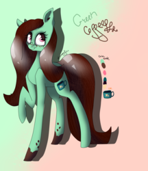 Size: 2323x2689 | Tagged: safe, artist:midnightdream123, oc, oc only, oc:green cofee, earth pony, pony, female, high res, mare, reference sheet, simple background, solo, transparent background