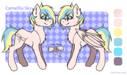 Size: 1314x777 | Tagged: safe, artist:carrscrap, oc, oc only, oc:camellia sky, pegasus, pony, cutie mark, female, glasses, reference sheet, smiling, solo
