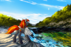 Size: 1400x933 | Tagged: safe, artist:margony, oc, oc only, oc:flame runner, pegasus, pony, butt, detailed background, female, mare, plot, river, rock, scenery, scenery porn, solo, supernova
