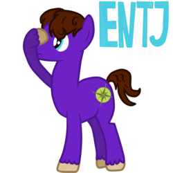 Size: 5000x5000 | Tagged: dead source, safe, artist:green-viper, pony, entj, mbti, myers-briggs, ponified, simple background, transparent background
